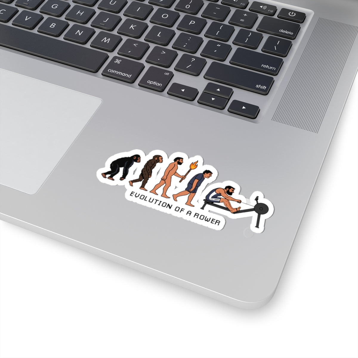 Evolution of a Rower Sticker