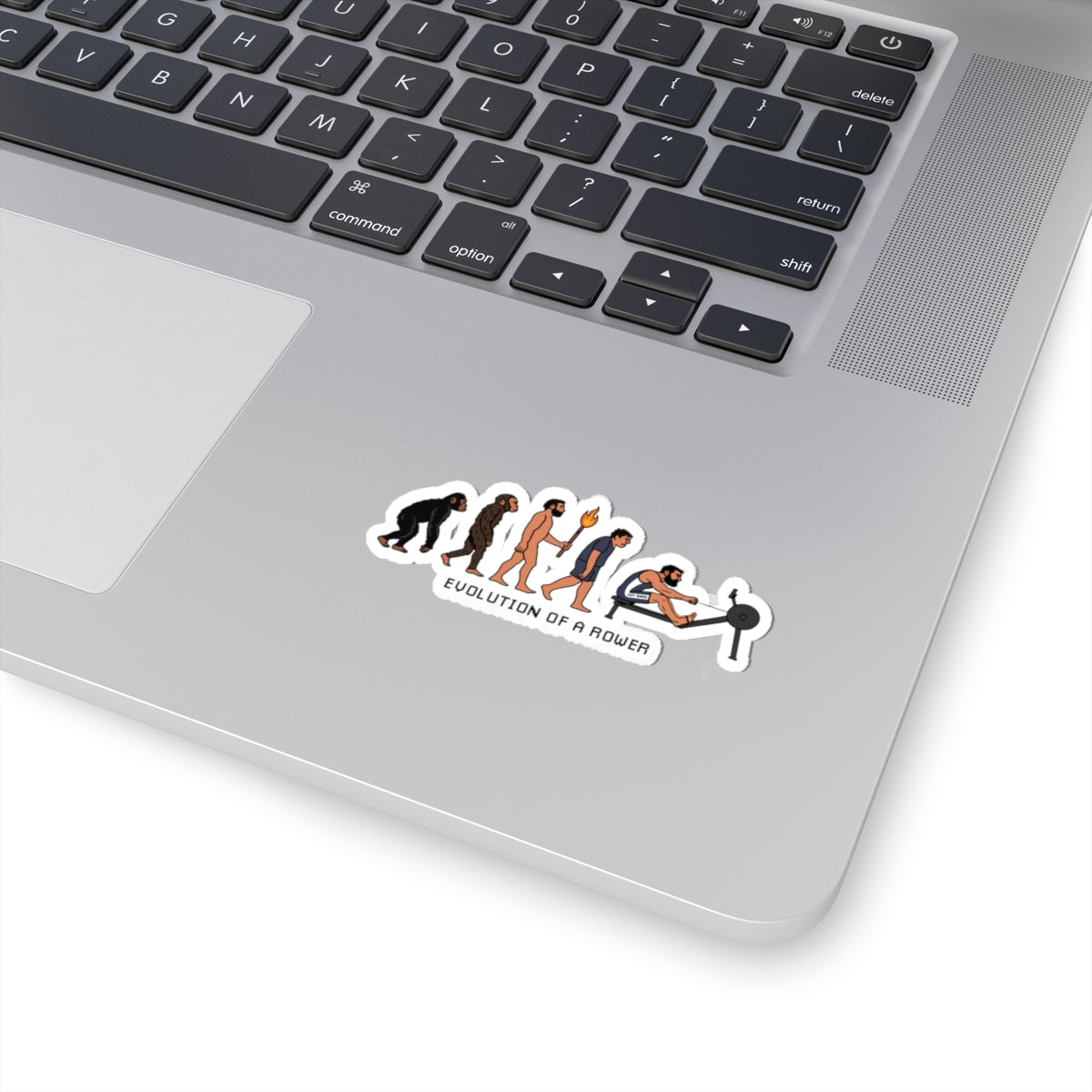 Evolution of a Rower Sticker